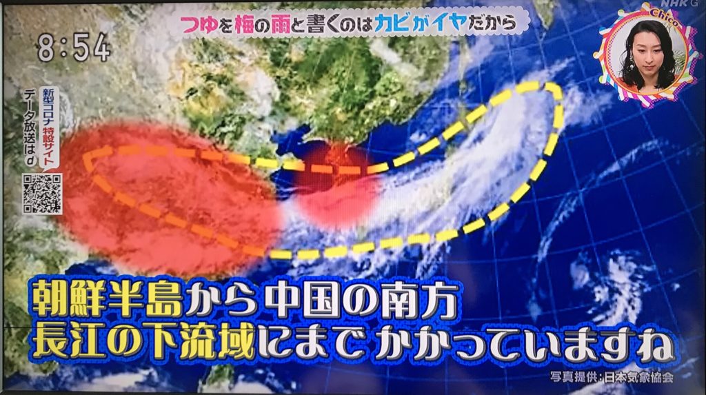 なんでつゆは梅の雨って書くの？→カビがイヤだから。中国発祥、元々は黴雨（バイウ）→梅雨へ。 チコちゃんに叱られる！