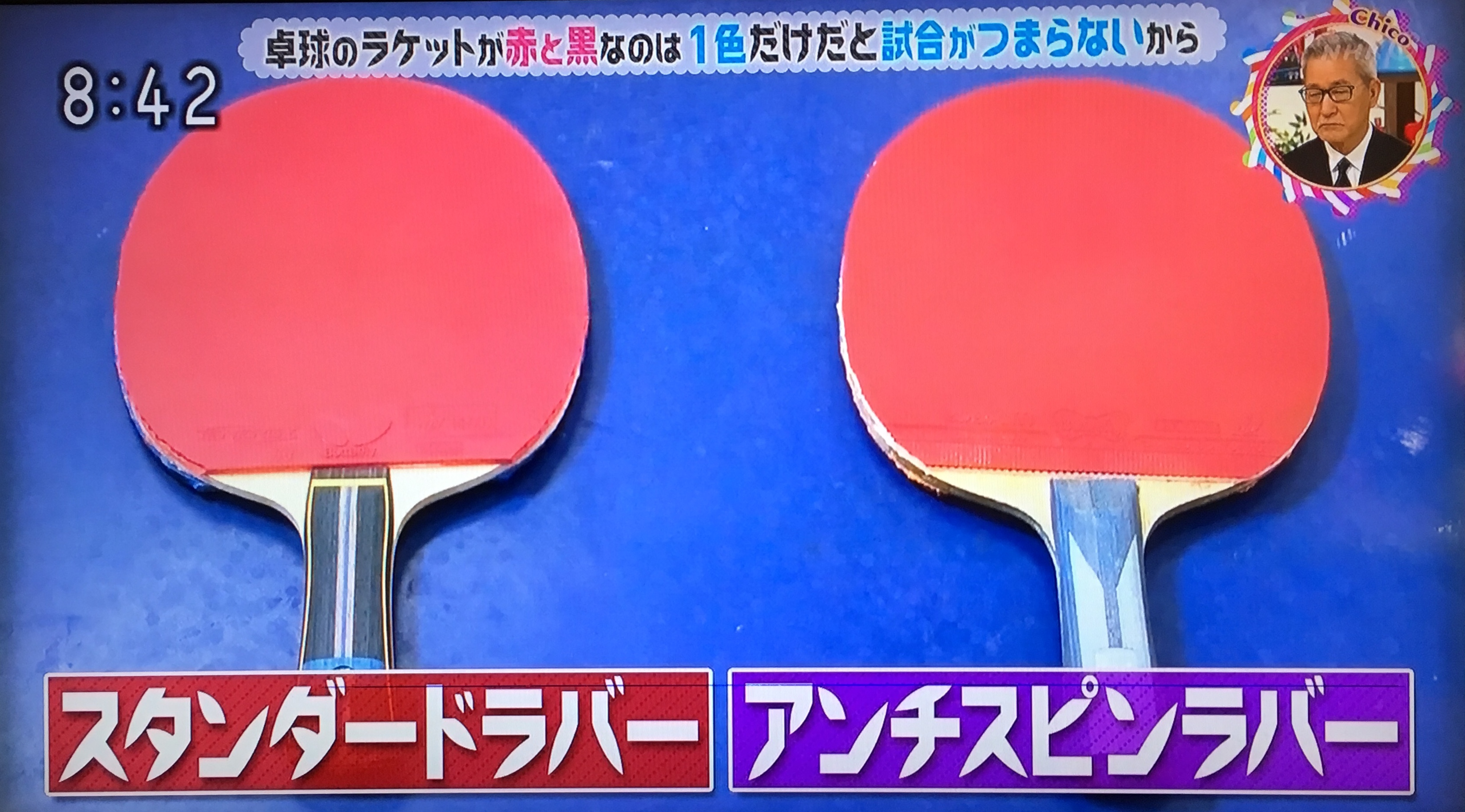 卓球のラケットが赤と黒なのはなぜ?→1色だけだと試合がつまらないから。スピン、アンチで色を使い分けるルール | チコちゃんに叱られる！