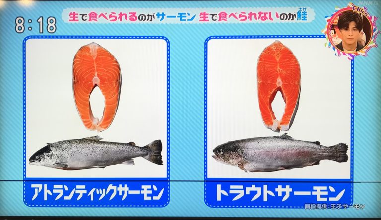 スーパーで売っている鮭とサーモンって何が違うの？→生で食べられるのがサーモン、生で食べられないのが鮭。1985年ごろ